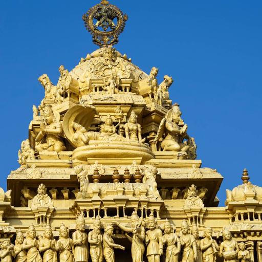 Picture of the product