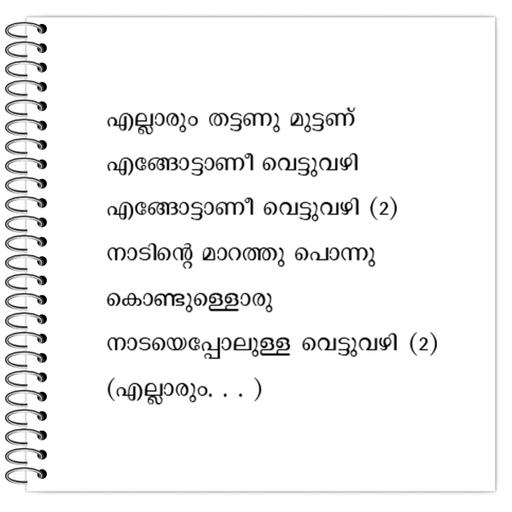 Picture of the product