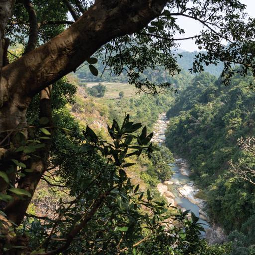 Picture of the product