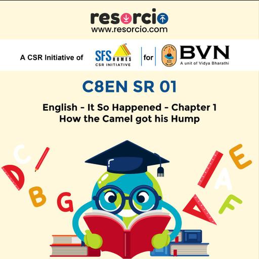 Picture of the product