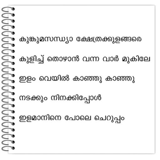 Picture of the product