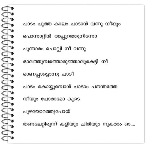 Picture of the product