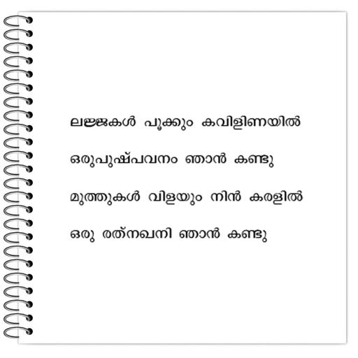 Picture of the product