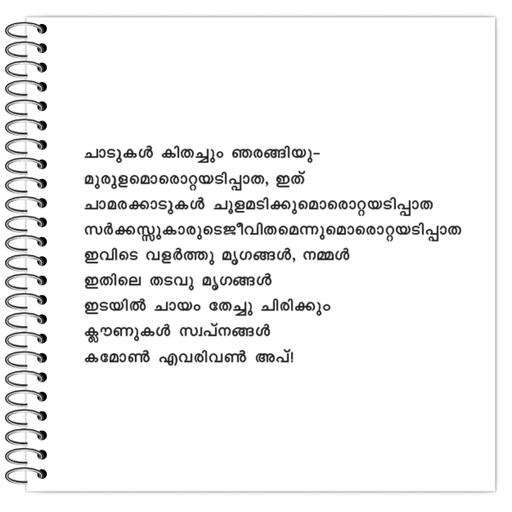 Picture of the product