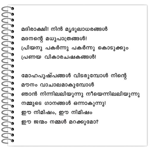 Picture of the product