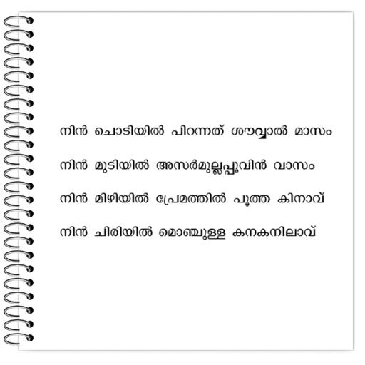 Picture of the product