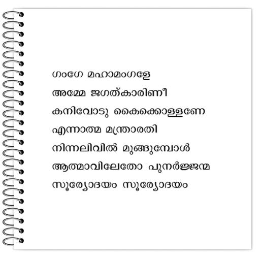 Picture of the product