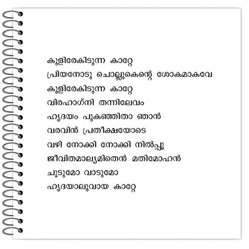 Picture of the product