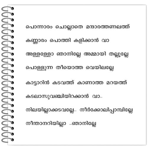 Picture of the product