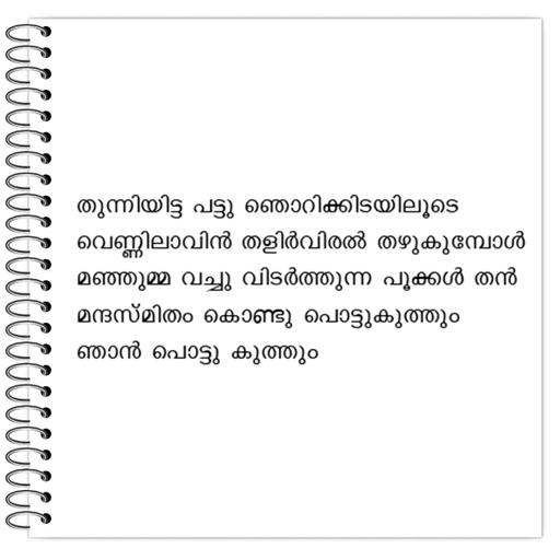 Picture of the product