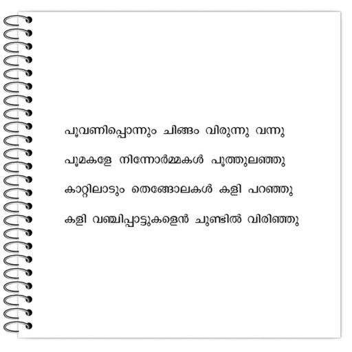 Picture of the product