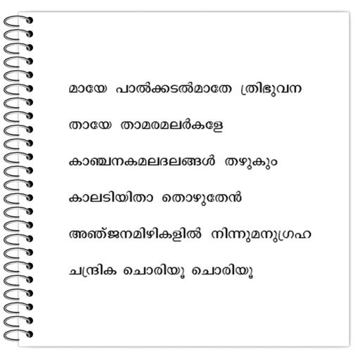 Picture of the product