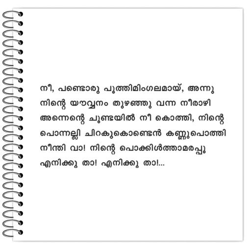 Picture of the product