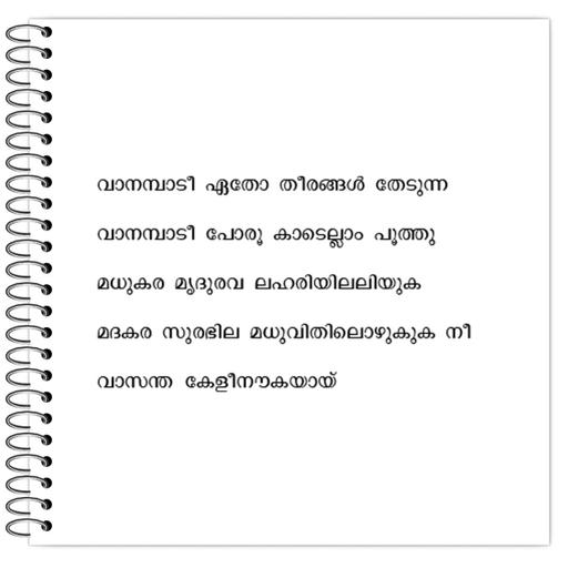 Picture of the product