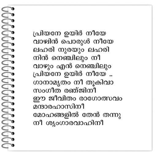 Picture of the product