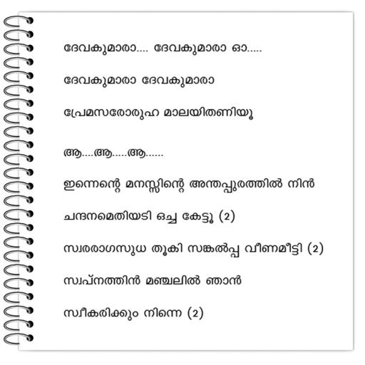 Picture of the product