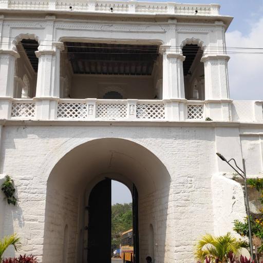 Picture of the product