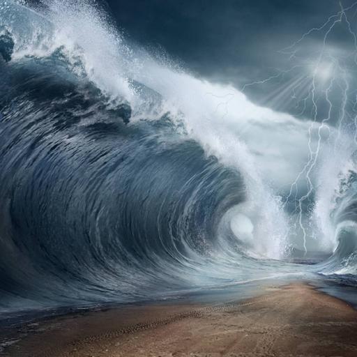 Picture of the product