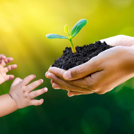 Picture of the product