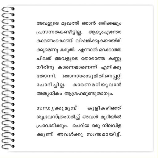 Picture of the product