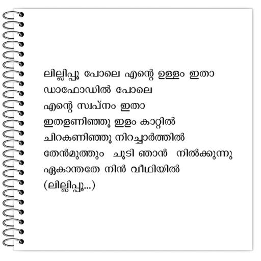 Picture of the product