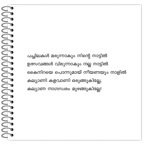 Picture of the product