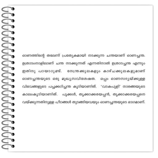 Picture of the product