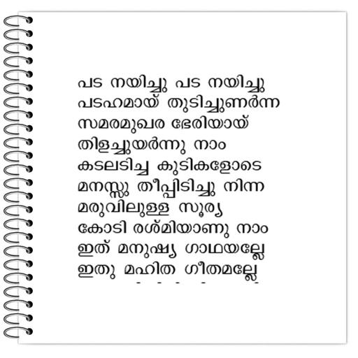 Picture of the product