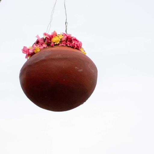 Picture of the product