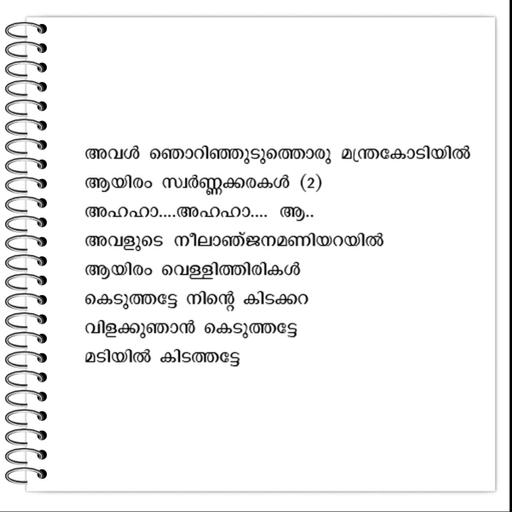 Picture of the product