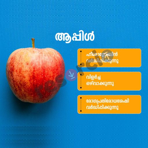 Picture of the product