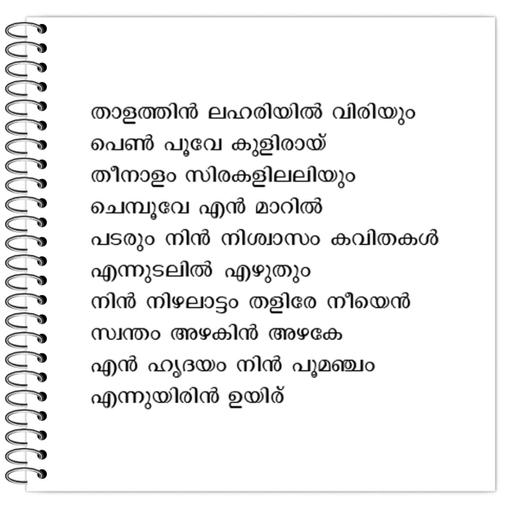 Picture of the product