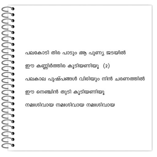 Picture of the product