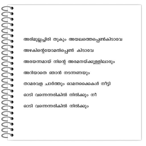 Picture of the product