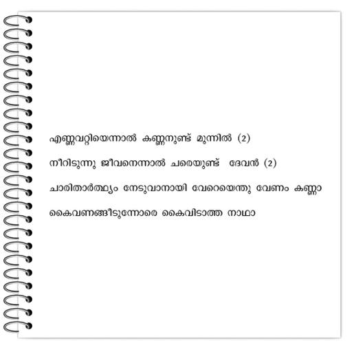 Picture of the product