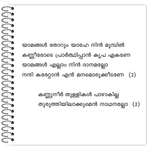 Picture of the product