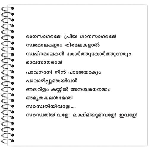 Picture of the product