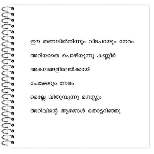 Picture of the product