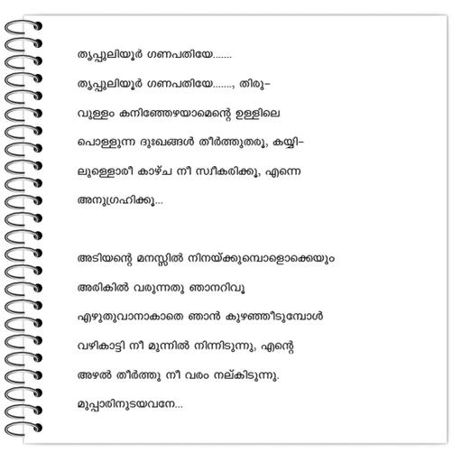 Picture of the product