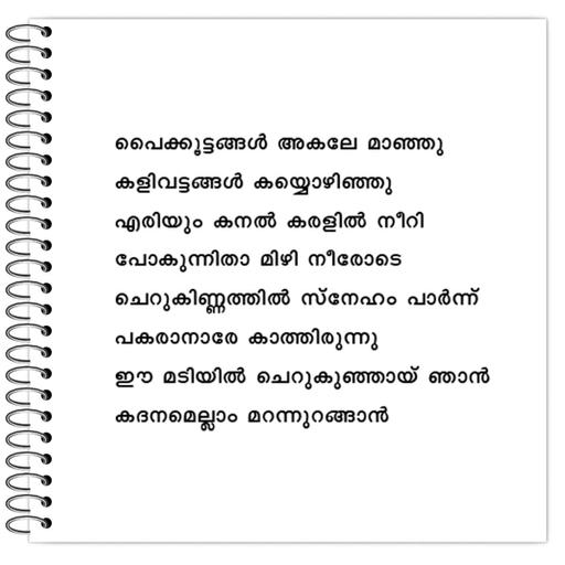 Picture of the product