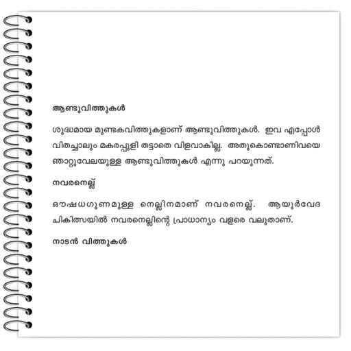 Picture of the product