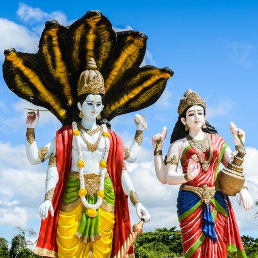 Picture of the product