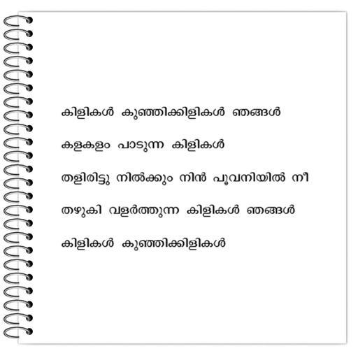 Picture of the product