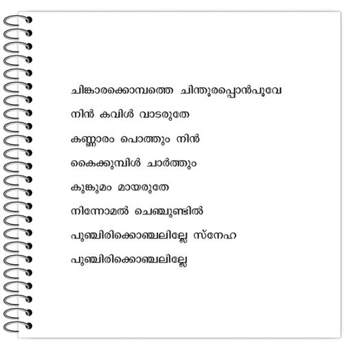 Picture of the product