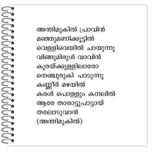 Picture of the product