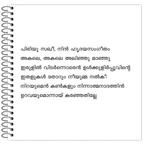 Picture of the product