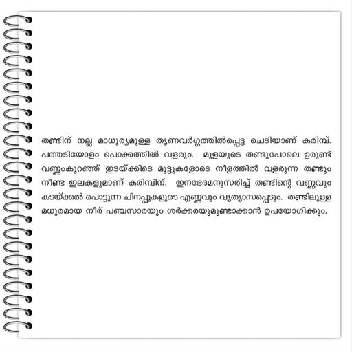 Picture of the product