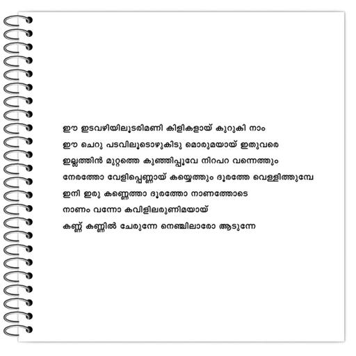 Picture of the product