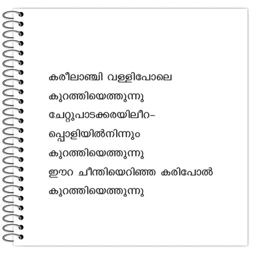 Picture of the product