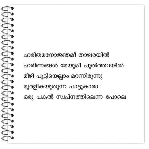 Picture of the product